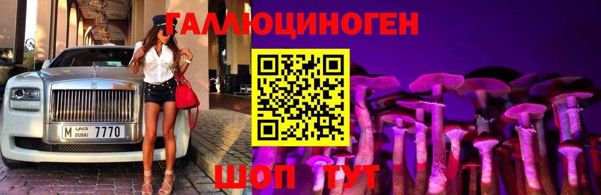 Галлюциногенные грибы GOLDEN TEACHER  Вход с VPN  Ахтубинск  Псилоцибиновые грибы Magic Shrooms 